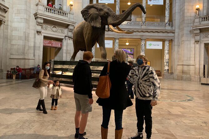 Smithsonian National Museum of Natural History with Guided Tour - Final Thoughts: The Real Value of the Smithsonian Guided Tour