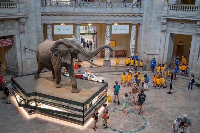 Smithsonian Natural History Museum Semi-Private Guided Tour - A Depth-Filled Tour of the Smithsonian Natural History Museum