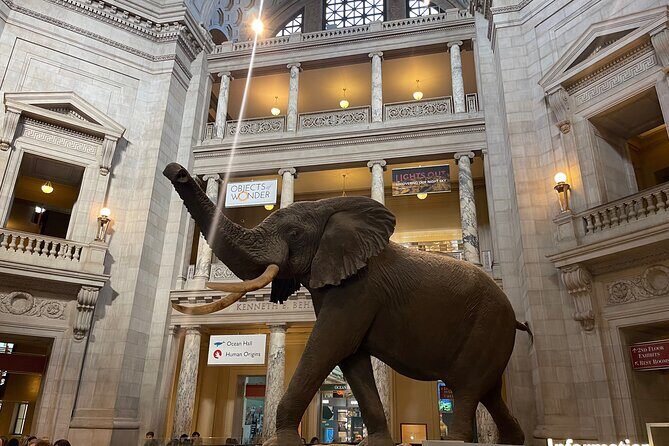 Smithsonian Natural History Museum Semi-Private Guided Tour - What Makes This Tour Stand Out?