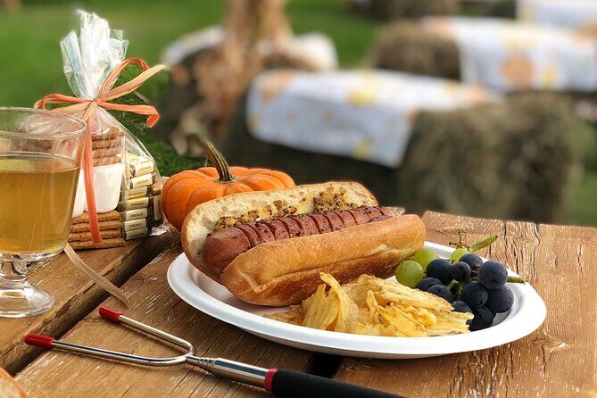 Smokies, S'mores, Mulled Wine and Fall Fun at Kelowna Winery - In-Depth Review: What You Can Expect on the Kelowna Fall Farm Tour