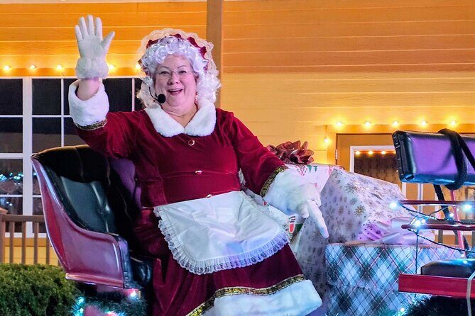 Smoky Bear Holiday Lights Tour w/ Picture Stops - A Bright Night Out: The Smoky Bear Holiday Lights Tour with Picture Stops