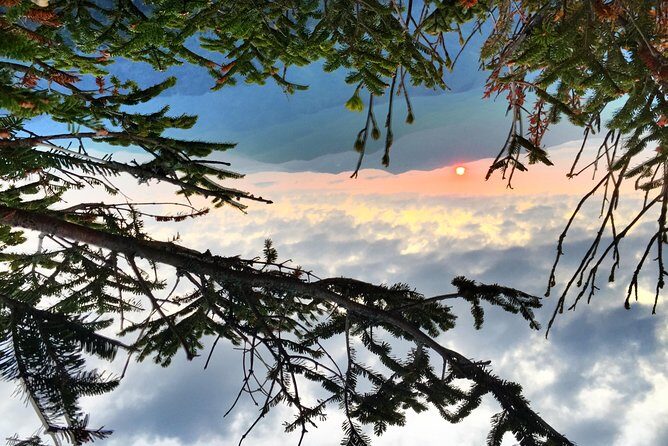 Smoky Mountain Guided Scenic High Van Tour - Frequently Asked Questions