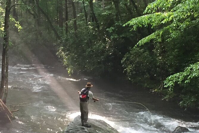 Smoky Mountains National Park Half Day Fly Fishing - Key Points