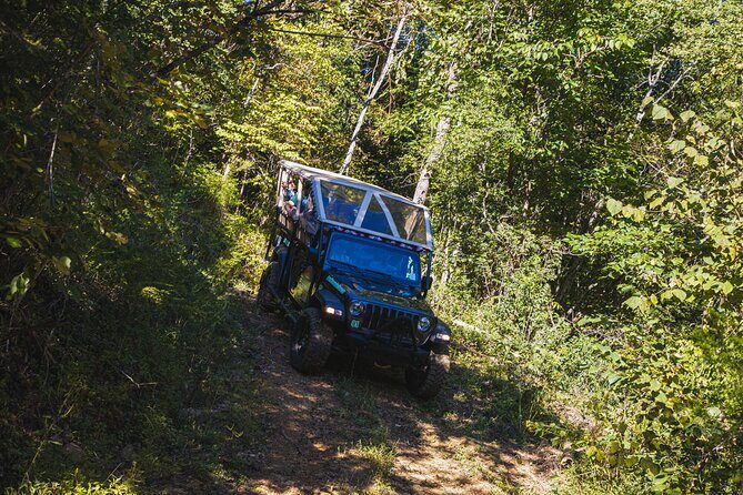 Smoky Mountains Newfound Gap Jeep Tour - Final Thoughts: Is This the Right Tour for You?