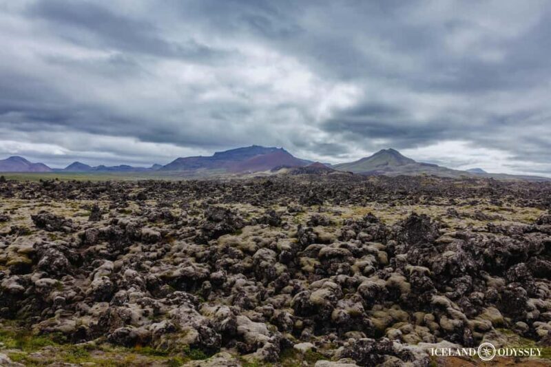 Snæfellsnes peninsula: Small Group tour by van - FAQs