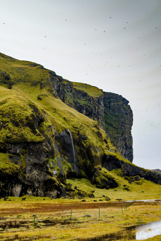 Snaefellsnes Peninsula Tour from Reykjavik - Who Should Book This Tour?
