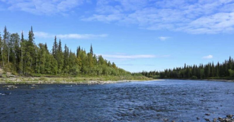 Snake River Full-Day Group Fishing Trip - Final thoughts: Is it worth your time?