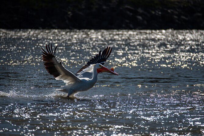 Snake River Scenic Float Private Guided Tour - Final Thoughts: Why Choose This Float?