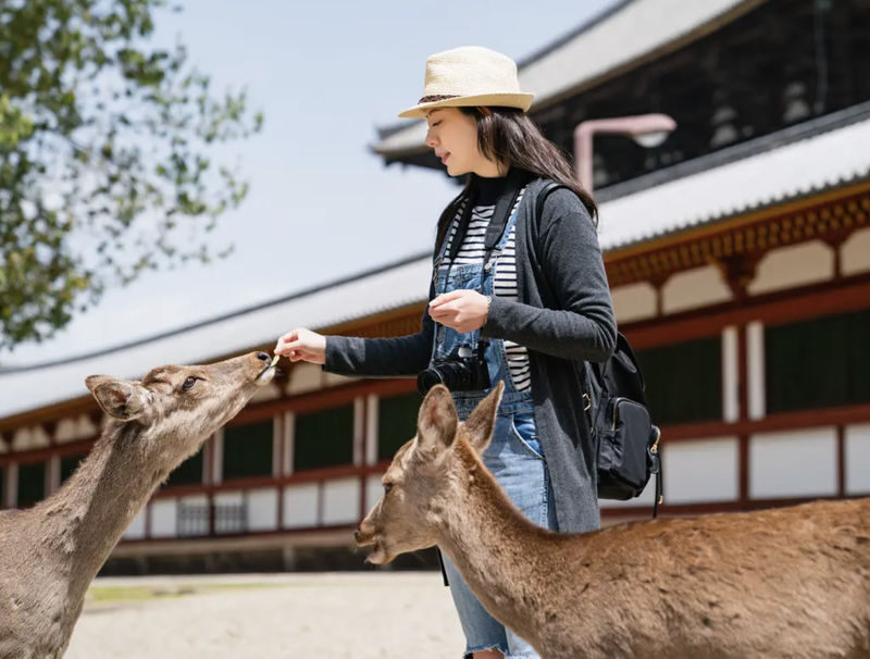 Snap Photography Experience (Nara) - Key points before you book