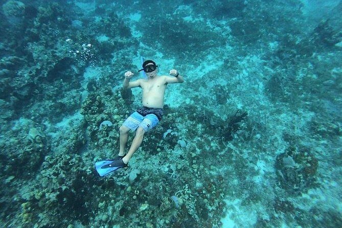Snorkel Adventure at Cozumel! Transportation from Cancun & Playa Del Carmen - FAQ