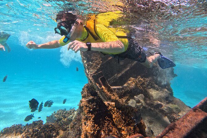 Snorkel Adventure in Cancun - Key Points