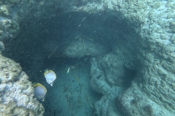 Snorkel Adventure in Cancun - Why This Tour Is a Great Choice