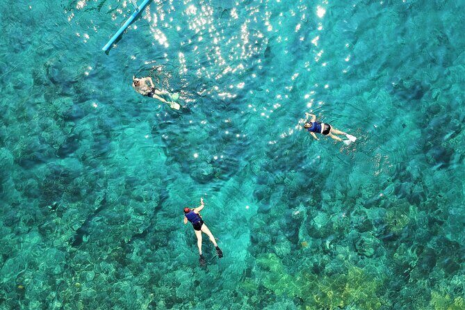 Snorkel Adventure through the Sea of Cortez - Final Thoughts