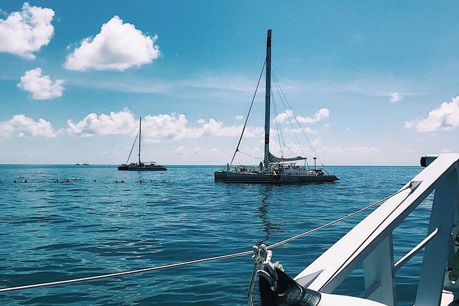 Snorkel adventure to Isla Mujeres by Catamaran. Open Bar and buffet included. - The Sum Up