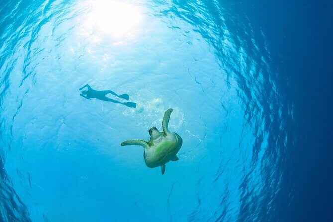 Snorkel Adventure to Ko Tao and Ko Nang Yuan from Ko Samui - An Honest Look at the Snorkel Adventure to Ko Tao and Ko Nang Yuan from Ko Samui