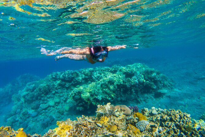 Snorkel Adventure to Ko Tao and Ko Nang Yuan from Ko Samui - Who Will Love This Tour