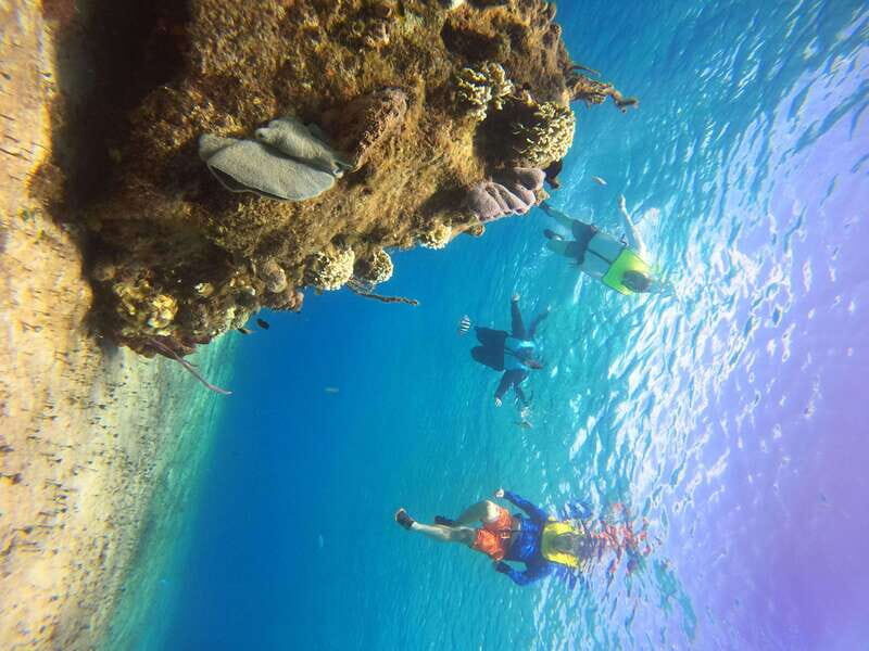Snorkel along the coast with Chivis Del Mar. - Who Should Consider This Tour?