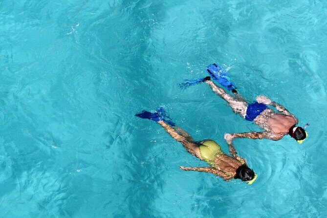 Snorkel and Cruise Half Day Morning on Serendipity - Final Thoughts