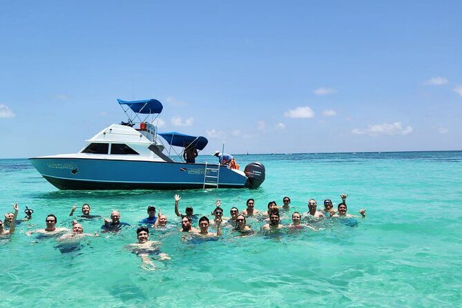 Snorkel and Swimming with Whale Shark in Cancun - A Detailed Look at the Cancun Whale Shark Tour