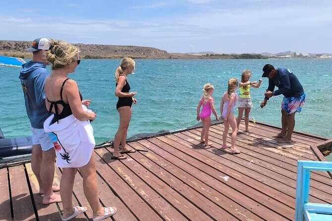 Snorkel Aruba's Vibrant Waters and Serene Mangroves Private Tour - Key Points