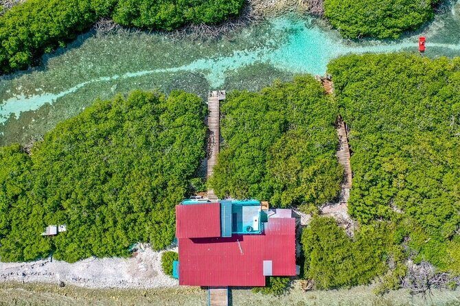 Snorkel Aruba's Vibrant Waters and Serene Mangroves Private Tour - The Sum Up