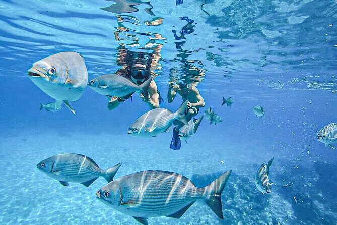 Snorkel at El Cielo in Cozumel with 2 more Reefs with Round Trip - Final Thoughts