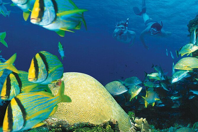Snorkel at El Cielo in Cozumel with 2 more Reefs with Round Trip - Frequently Asked Questions