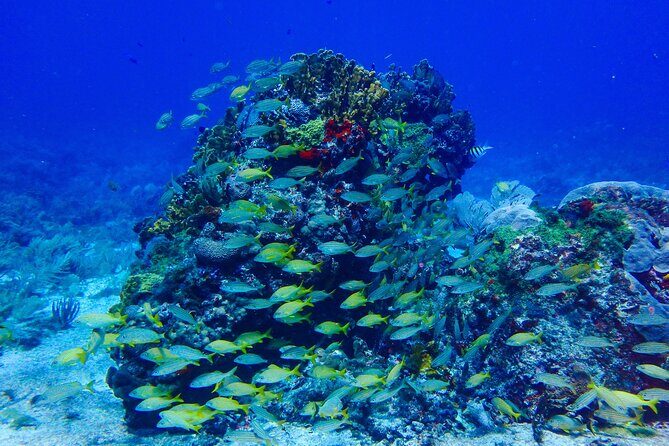 Snorkel at El Farito - The Lighthouse Reservation - Who Will Love This Tour?
