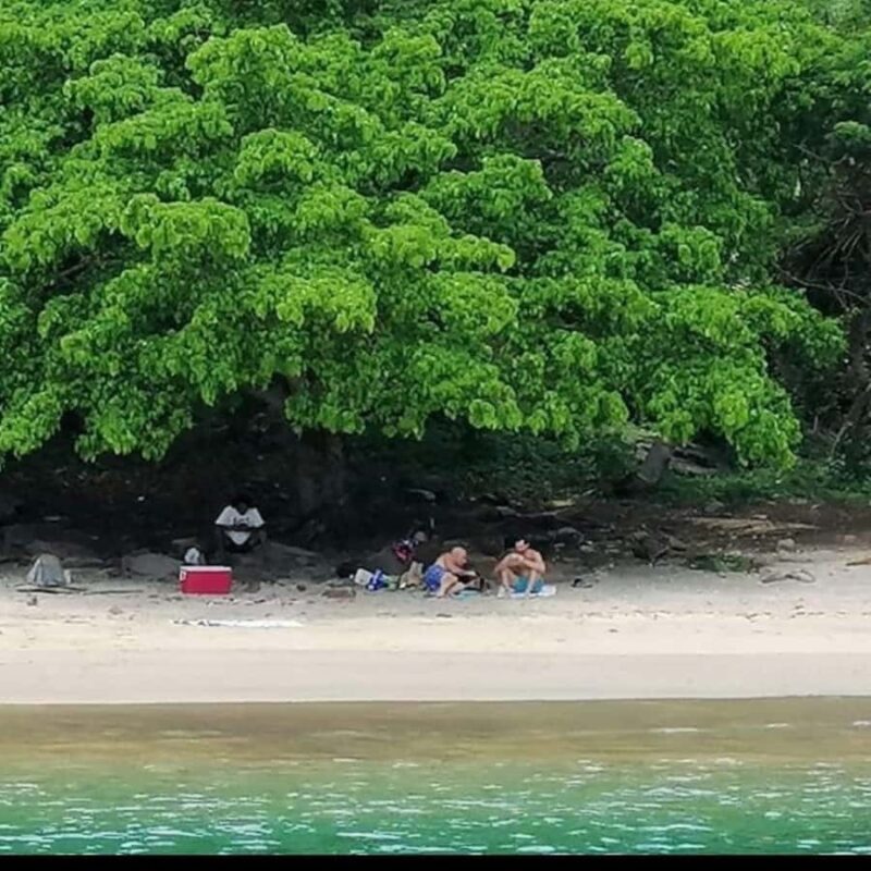 Snorkel at Playa del Toro, leaving from Sayulita: a day at the beach - Detailed Review of the Snorkel at Playa del Toro Experience