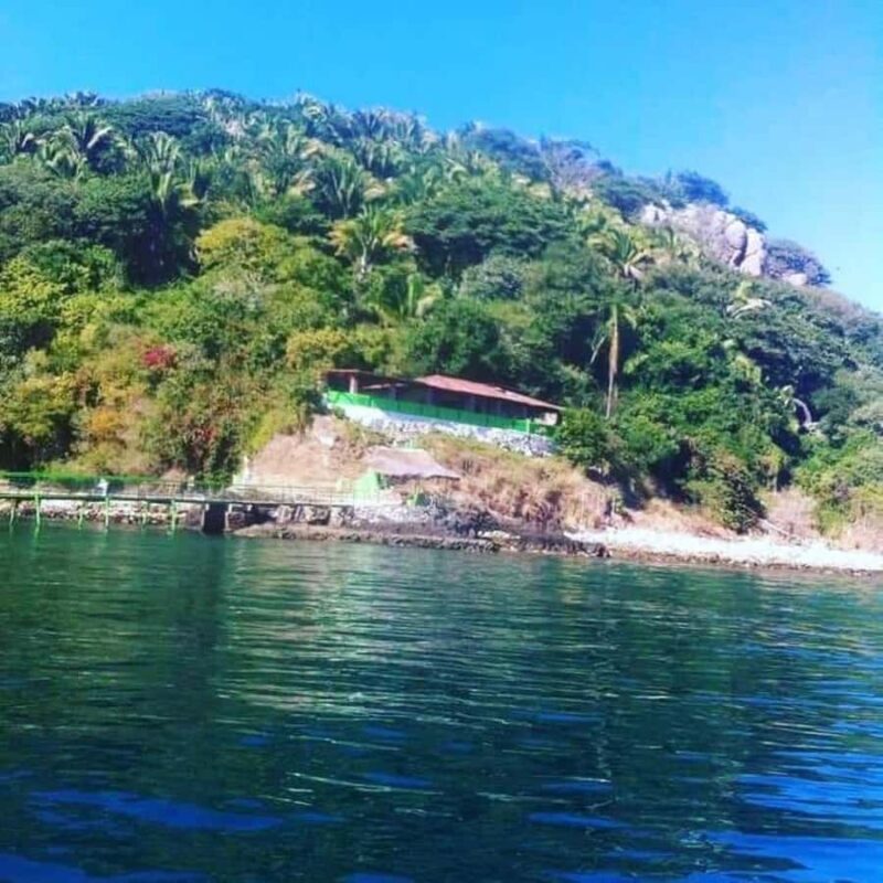 Snorkel at Playa del Toro, leaving from Sayulita: a day at the beach - Sources