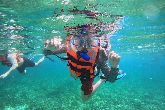 Snorkel at the Reef 2 HOURS Puerto Morelos National park - Snorkel at the Reef 2 HOURS Puerto Morelos National Park: An Authentic Underwater Experience
