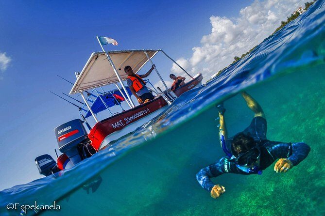 Snorkel boat tour in search of turtles - A Closer Look at the Snorkel Boat Tour Experience