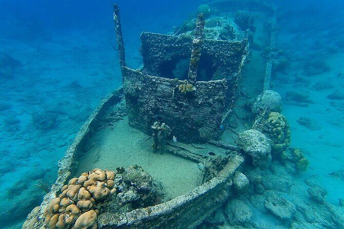 Snorkel boat trip: Sunken ship, old dutch fort & spanish bay - Final Thoughts