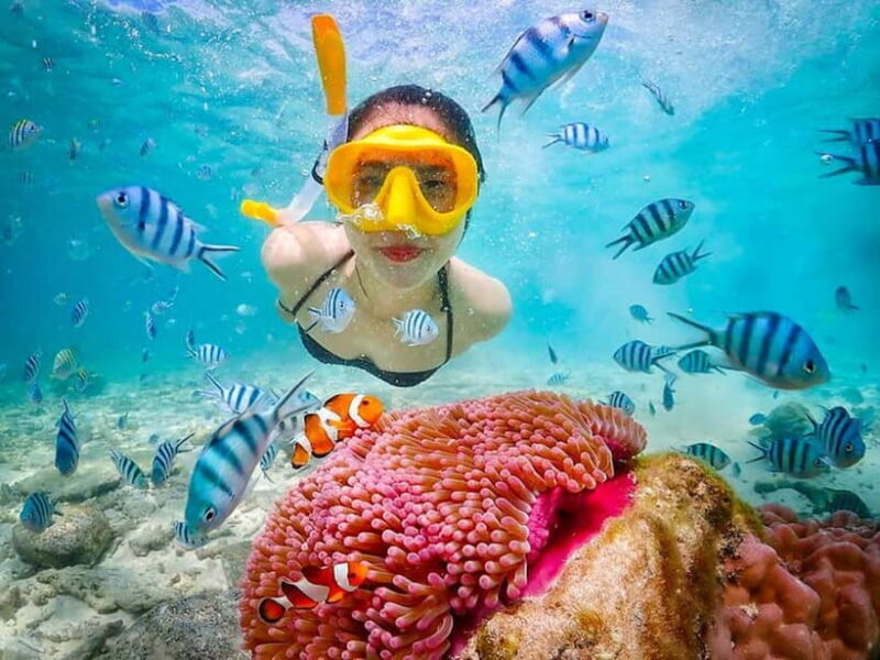 Snorkel & Chill: Nemo Island Trip from Pattaya - An In-Depth Look at the Nemo Island Snorkeling Trip