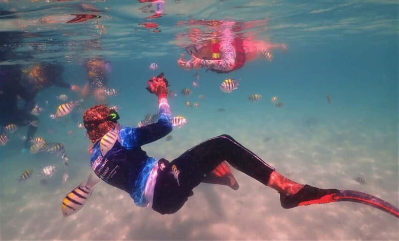 Snorkel & Chill: Nemo Island Trip from Pattaya - FAQ