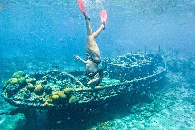 Snorkel Cruise with BBQ Lunch and Open Bar - Final Thoughts: Why This Snorkel Cruise Stands Out