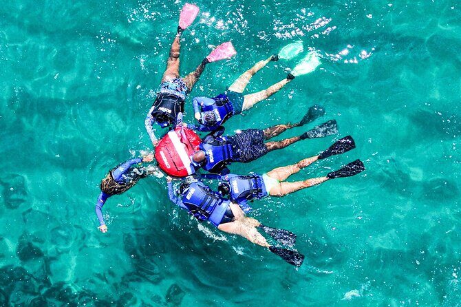 Snorkel Dive with Turtles - Key Points