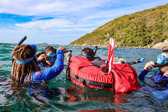 Snorkel Dive with Turtles - An In-Depth Look at the Snorkel Dive with Turtles Experience