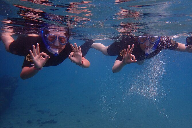Snorkel Experience in Lanzarote - Snorkel Experience in Lanzarote
