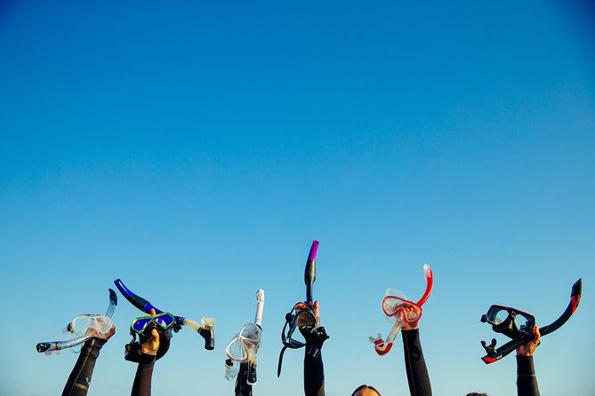 Snorkel Experience in Lanzarote - Key Points