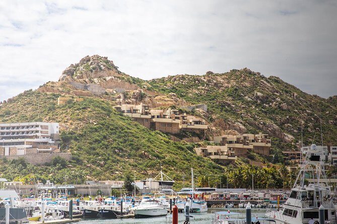 Snorkel & Explore Pelican Rock by Glass Boat + Photos - Final Thoughts: Is This Tour Right for You?