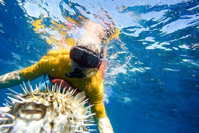 Snorkel & Explore Pelican Rock by Glass Boat + Photos - FAQ