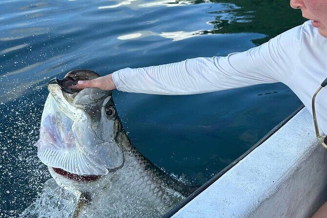 Snorkel HolChan Shark Ray Alley and Caye Caulker Manatee Spotting - What Travelers Love Most