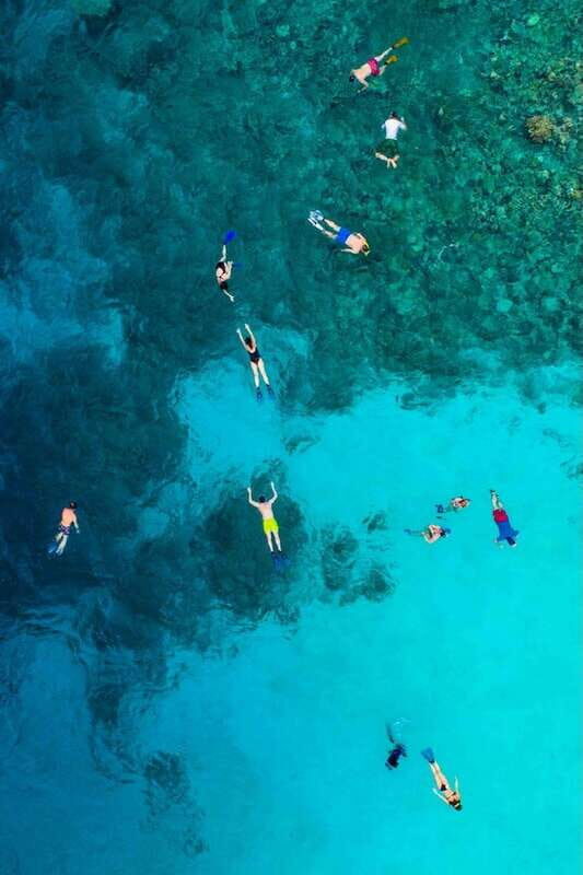 Snorkel in Cozumel and visit to El Cielo - A Close Look at the Cozumel Snorkeling and El Cielo Tour
