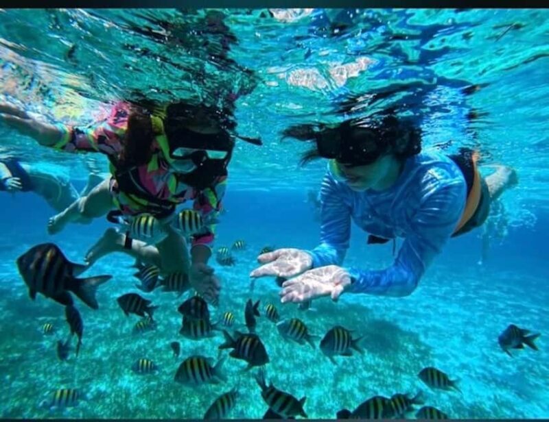Snorkel in Cozumel and visit to El Cielo - Final Thoughts: Is This Tour for You?