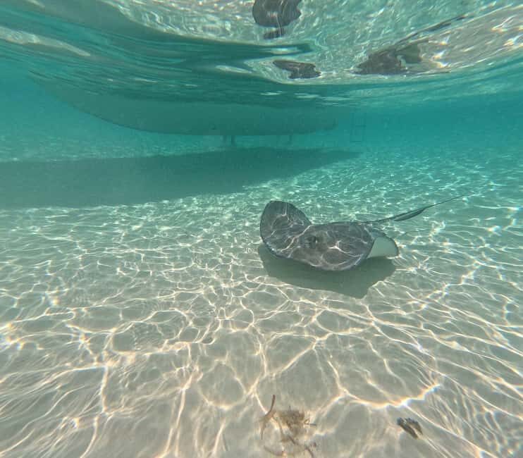 Snorkel in Cozumel and visit to El Cielo - FAQs