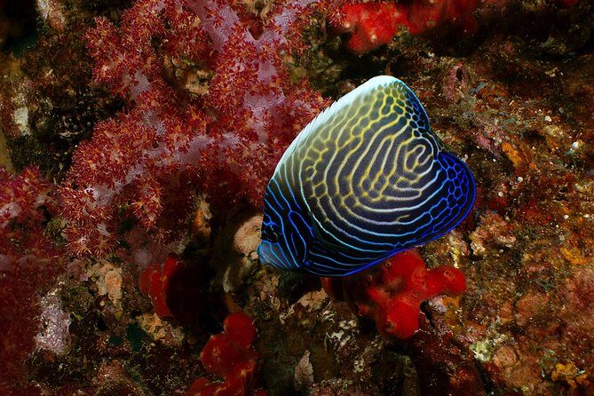 Snorkel in Koh Lanta, Thailand - A Few Final Tips