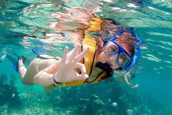 Snorkel in the turquoise Caribbean Sea in Puerto Morelos. Transport included - Final Thoughts