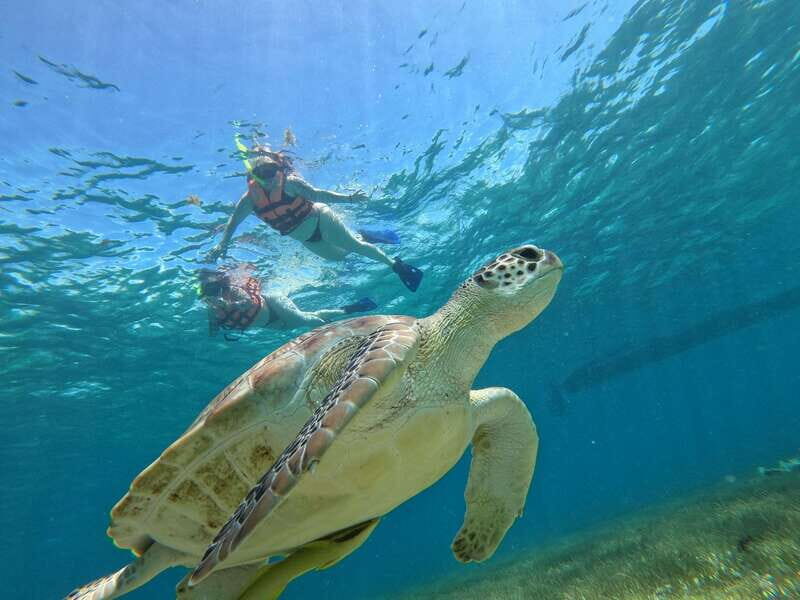 SNORKEL IN TULUM REEF, BOAT RIDE AND CALETA - The Sum Up: Who Will Love This Tour?