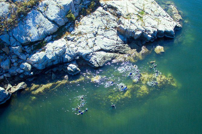 Snorkel, Kayak, and Seal Adventure: Vancouver Boat Tour - Who Should Consider This Tour?